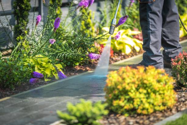 Professional Pressure Washing Services in Selma, NC